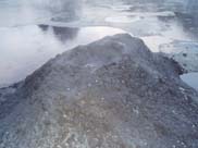 Rotorua - Hells Gate (Mud Pools)